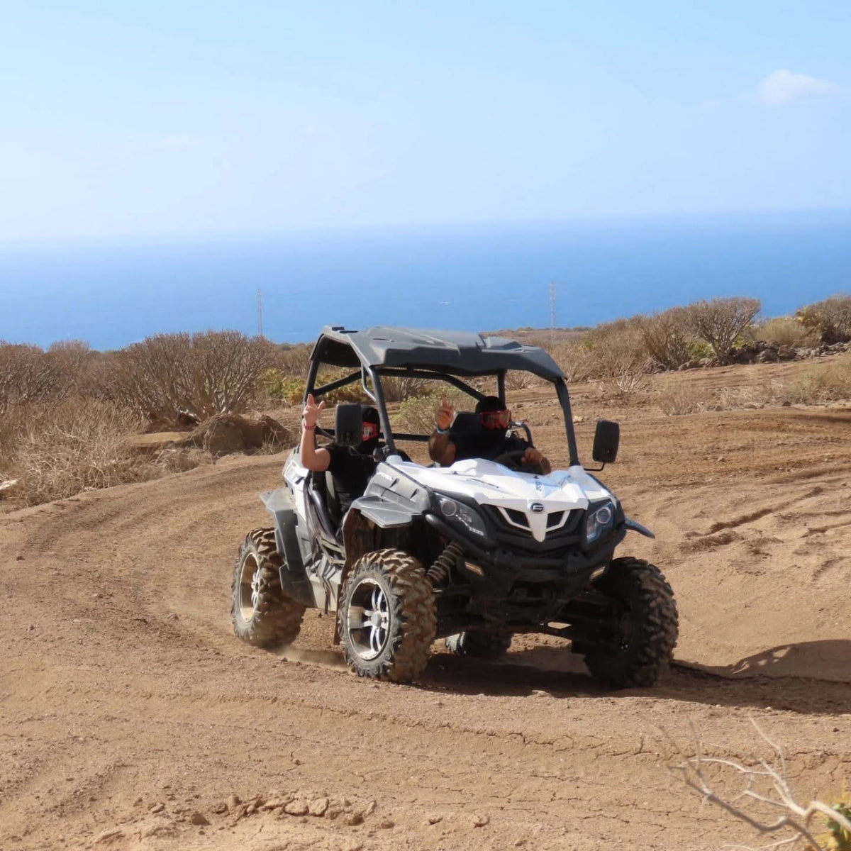 Buggy Trips