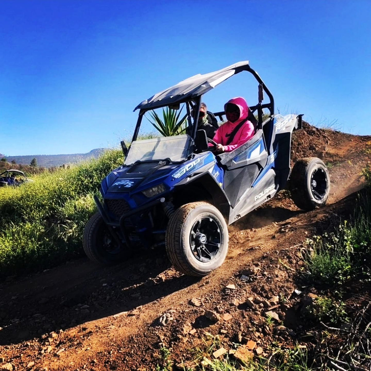 Buggy Trips