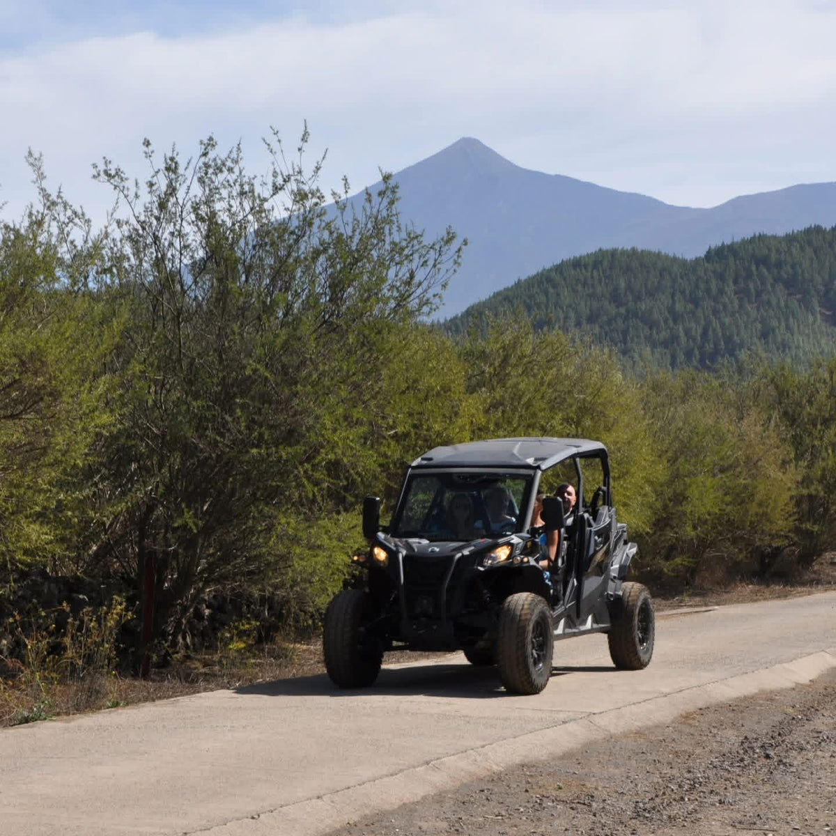 Buggy teide day