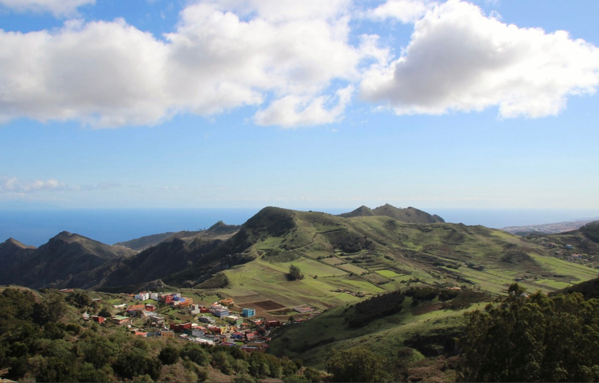 Santa Cruz, La laguna & Laurisilva Forest Bus Tour