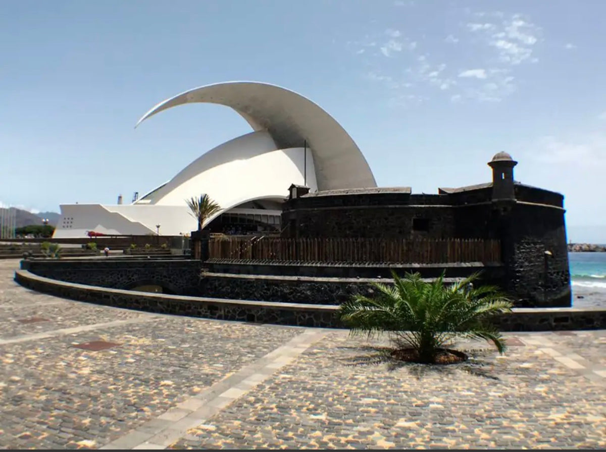 Santa Cruz, La laguna & Laurisilva Forest Bus Tour