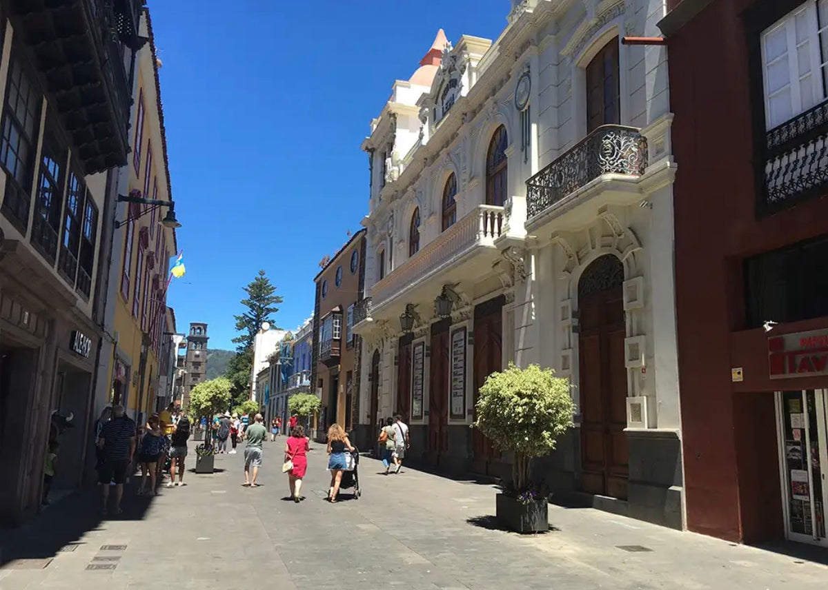 Santa Cruz, La laguna & Laurisilva Forest Bus Tour