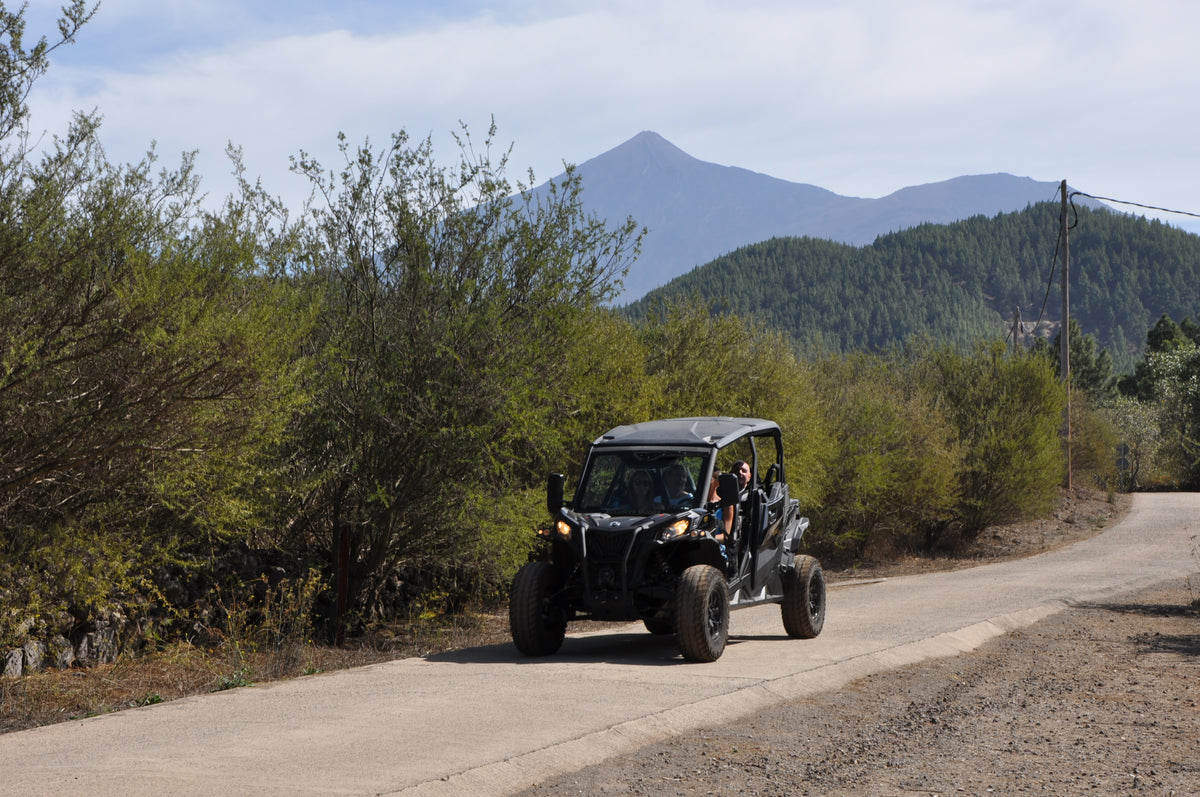 Coastal & Mountain Buggy Tour