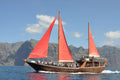 Pirate ship 5 hours