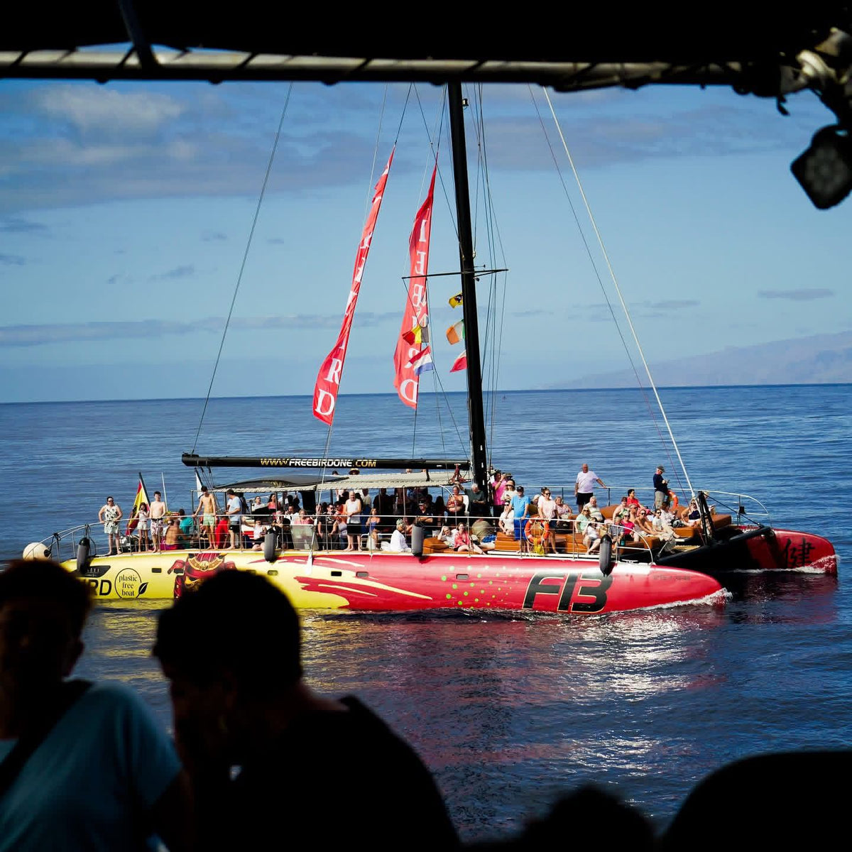 FreeBird Catamaran 3Hrs