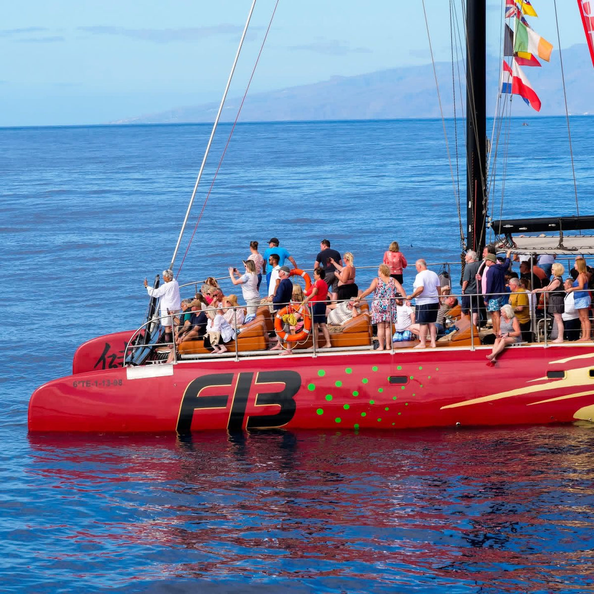 Freebird Catamaran 4.5 Hours