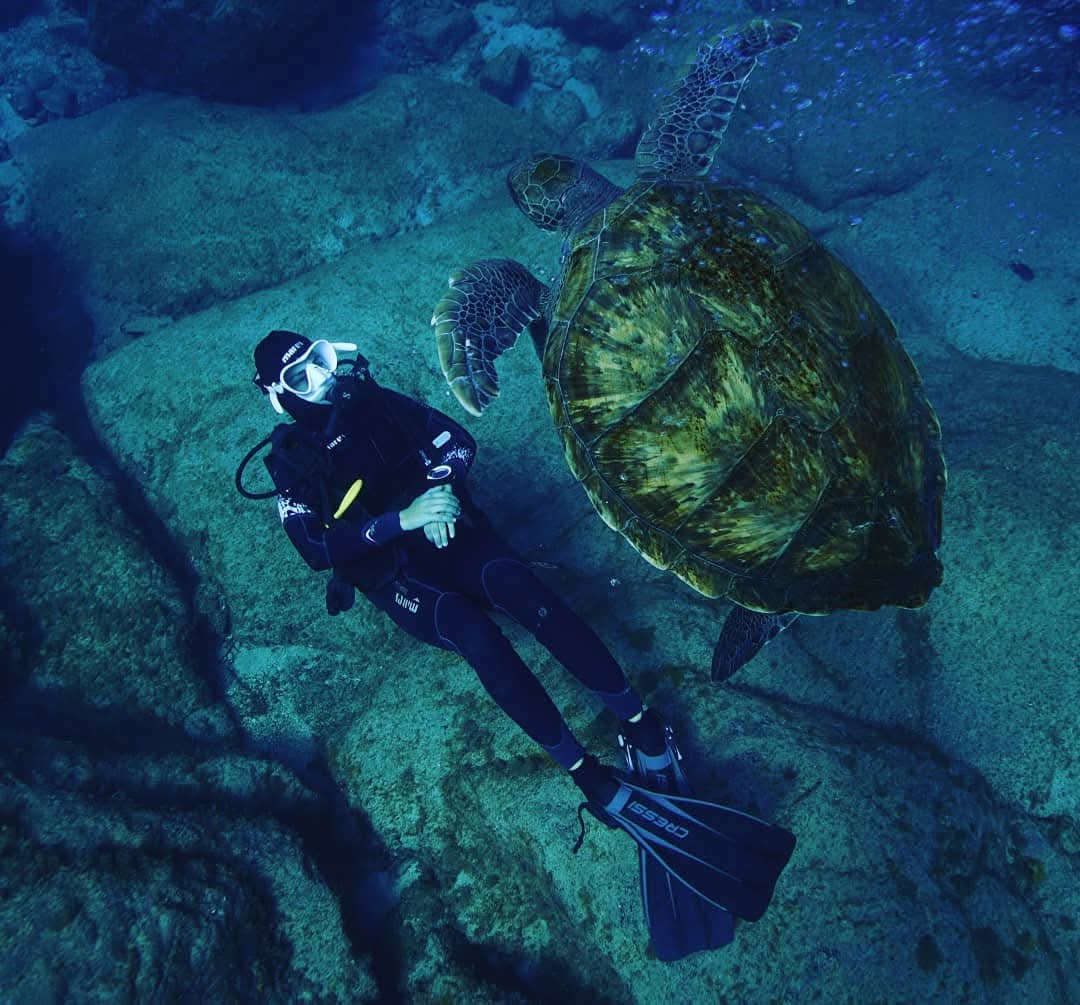 Discover Scuba Diver