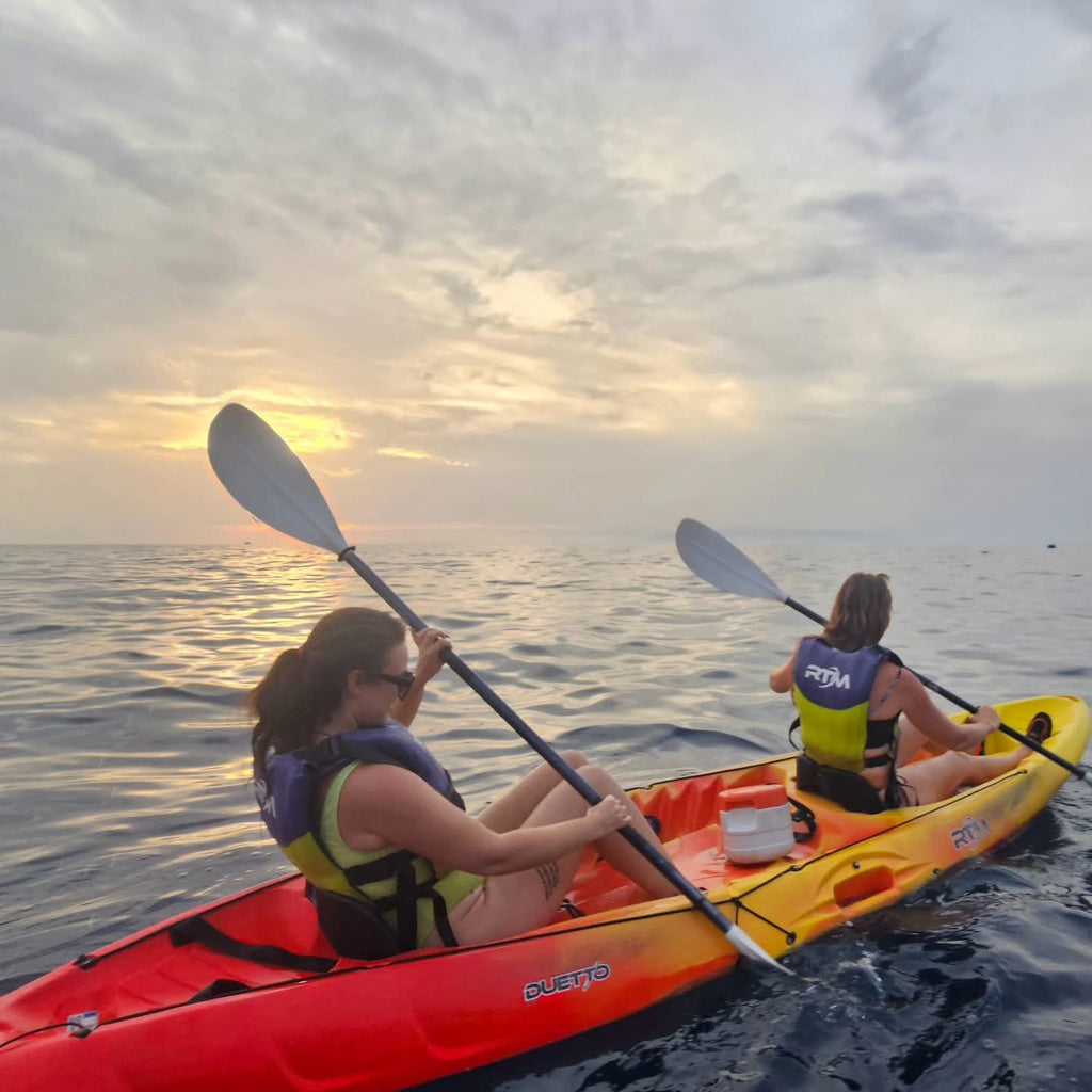 Kayak tour