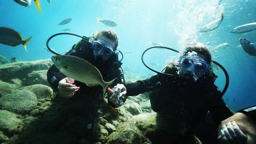 Discover scuba diver