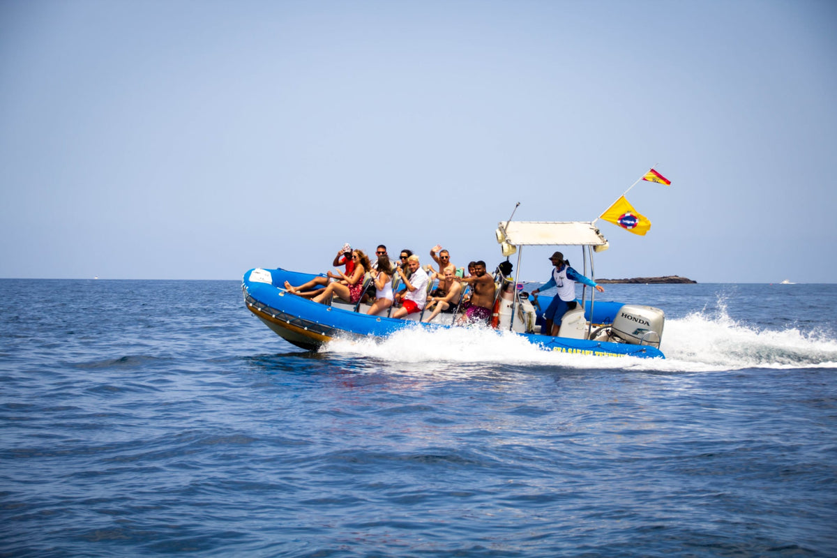 Sea Safari 2 Hours