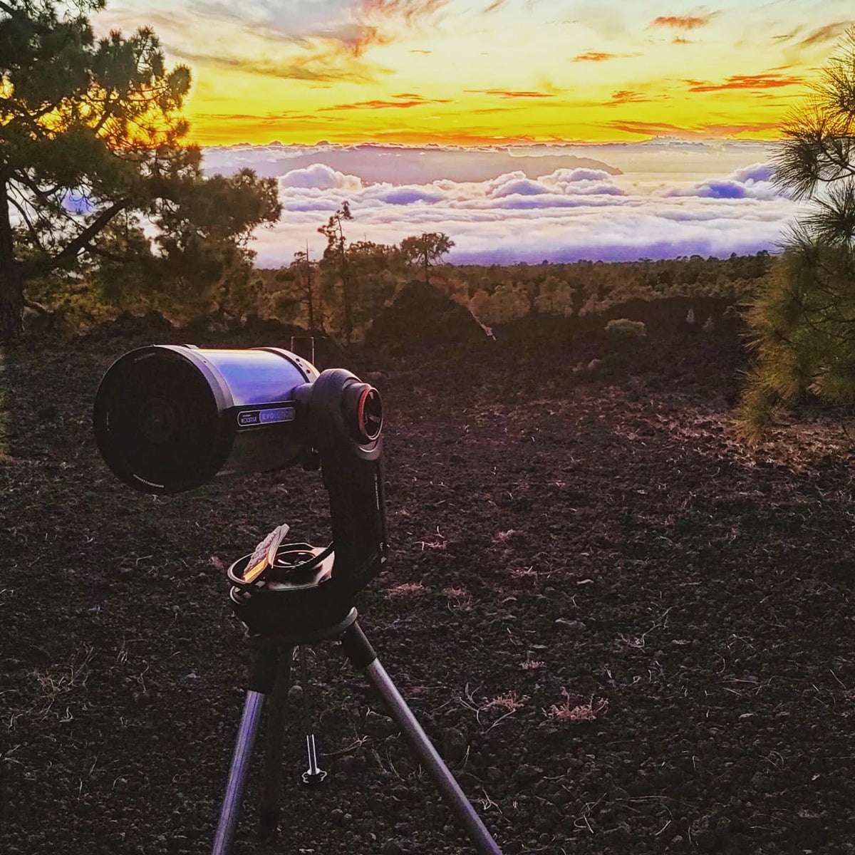 Sunset & star gazing + picnic
