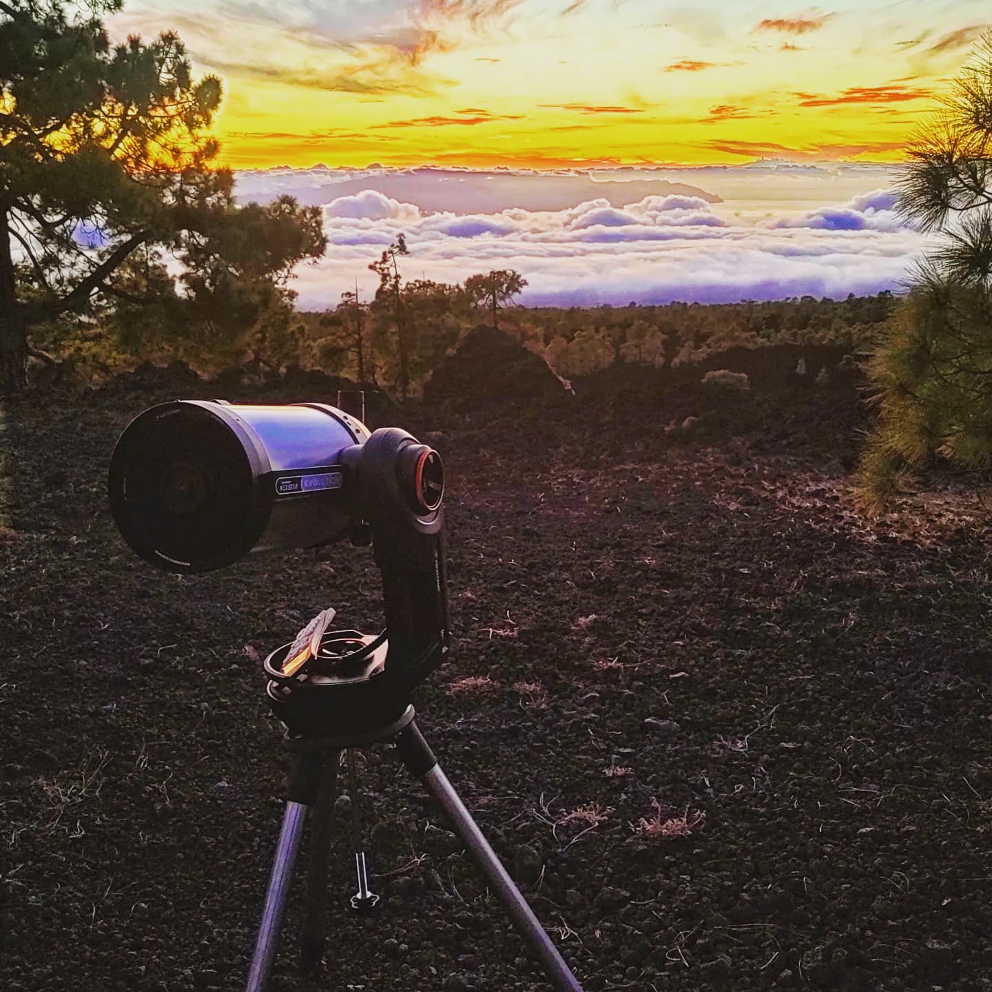 Sunset & star gazing + picnic