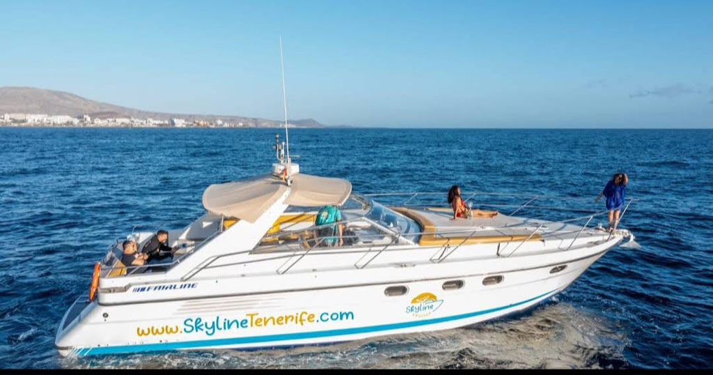 Skyline cruiser