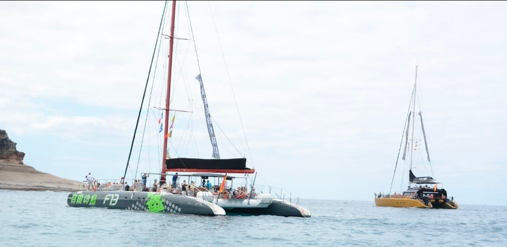 Free bird catamaran 3h