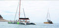 Freebird catamaran 4.5 H